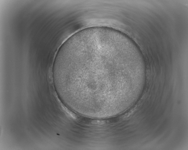 X0000074971521200609221809