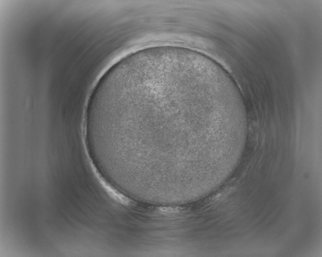 X0000074971523200609221810