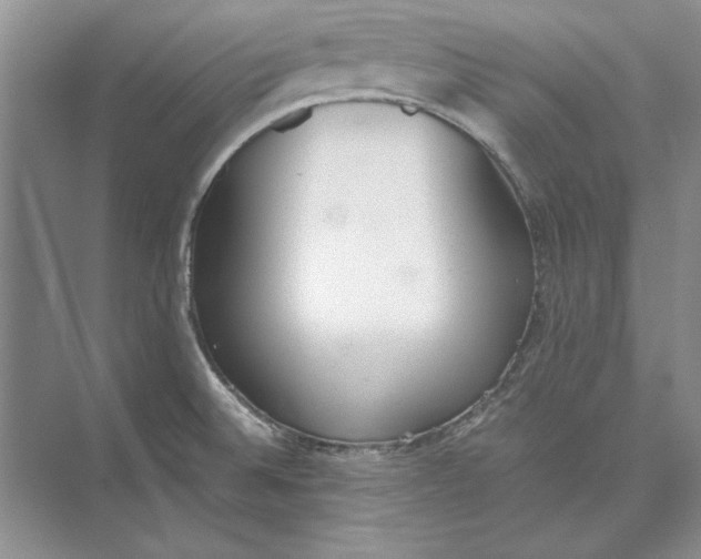 X0000074971524200609221810