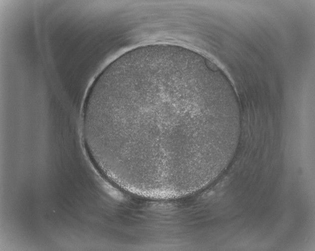 X0000074971525200609221810