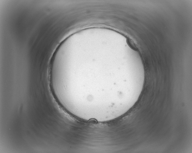 X0000074971526200609221810