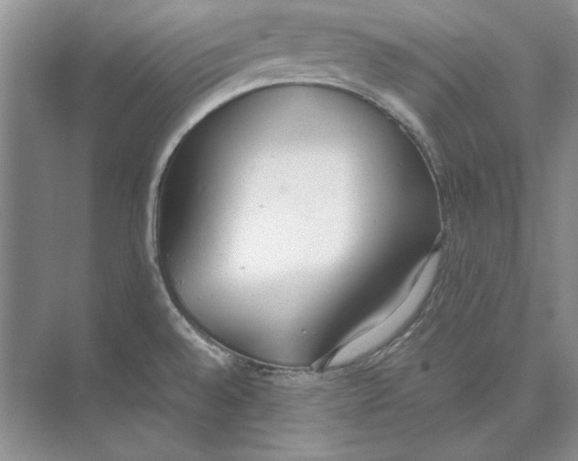 X0000074971528200609221810