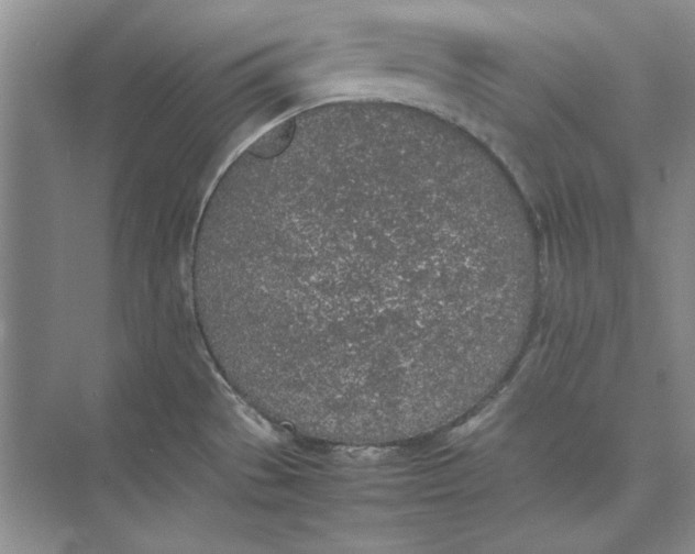 X0000074971529200609221810