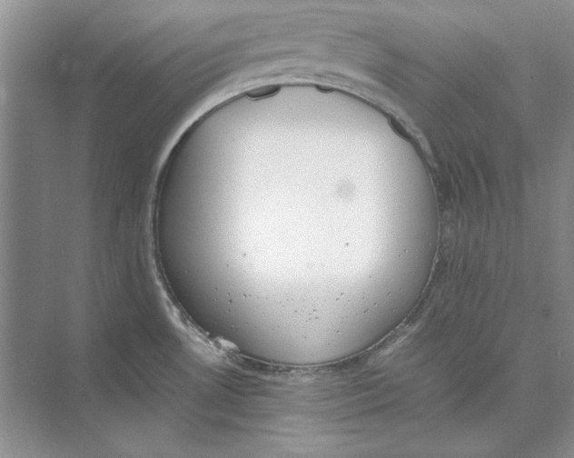 X0000074971530200609221810