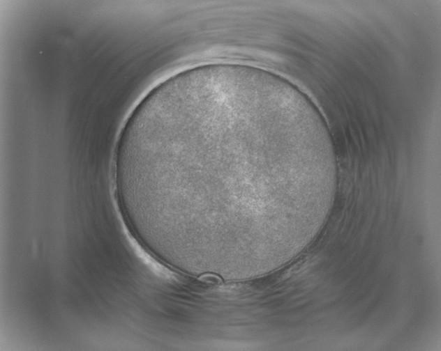 X0000074971531200609221810