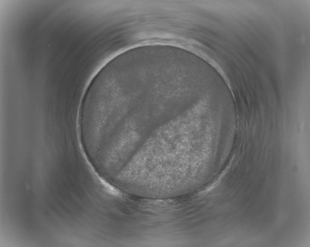 X0000074971533200609221810