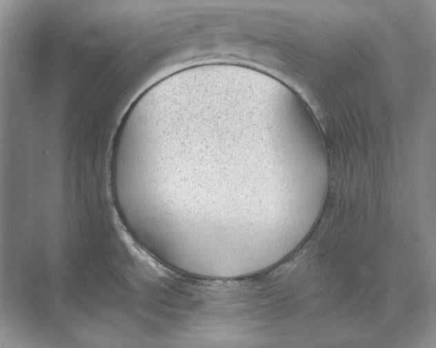 X0000074971534200609221810