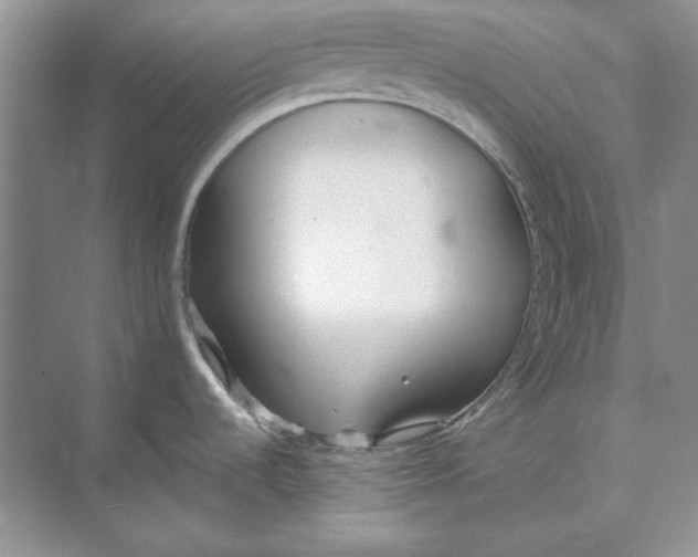 X0000074971536200609221810