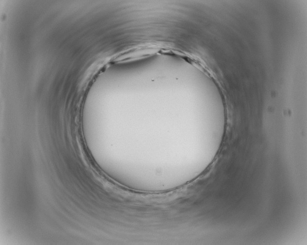 X0000074970001200609291950