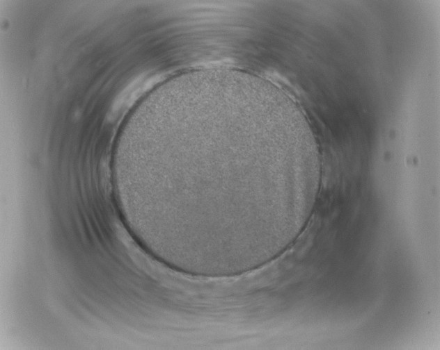 X0000074970002200609291950