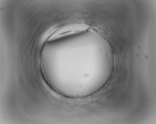 X0000074970005200609291950