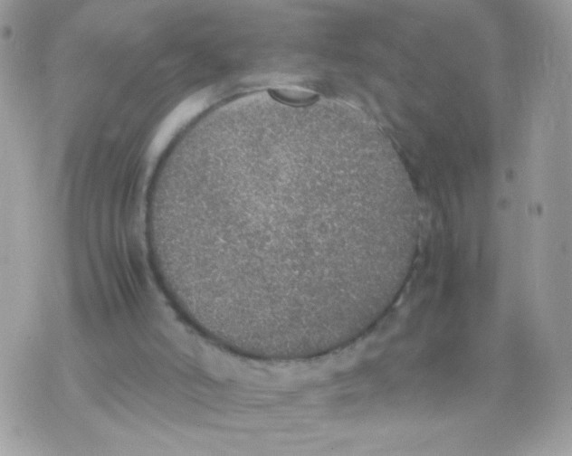 X0000074970006200609291950