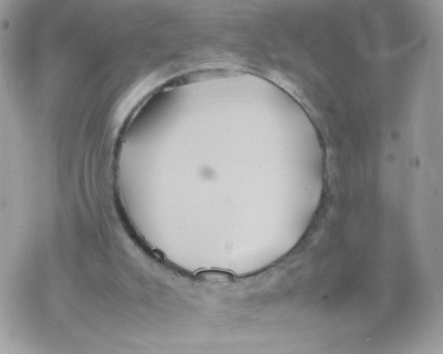 X0000074970007200609291950