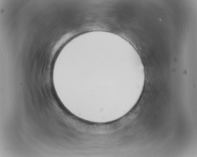 X0000074970008200609291949