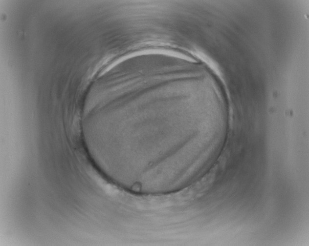 X0000074970009200609291949