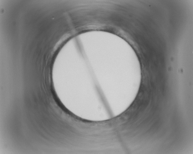 X0000074970011200609291949