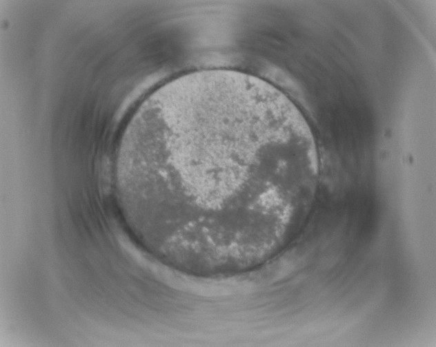 X0000074970012200609291949