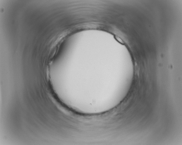 X0000074970013200609291949