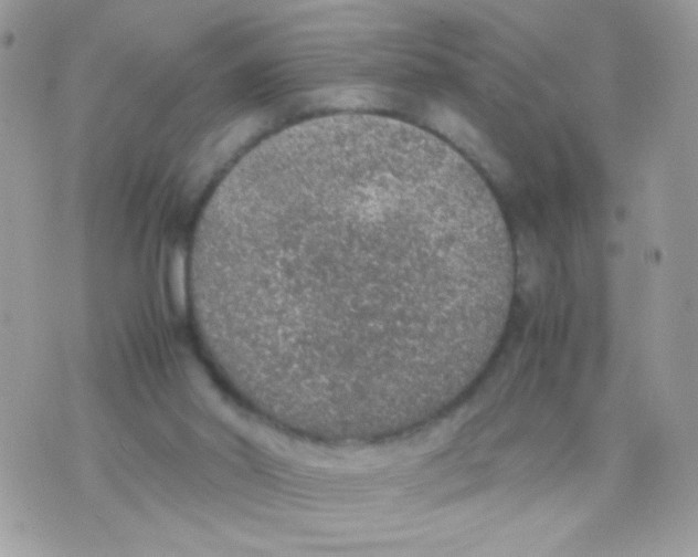 X0000074970014200609291949