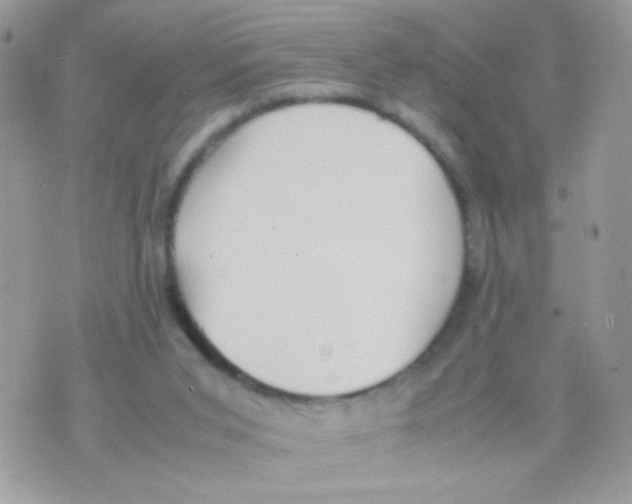 X0000074970015200609291949