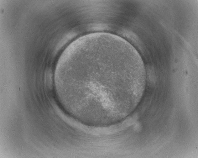 X0000074970016200609291949