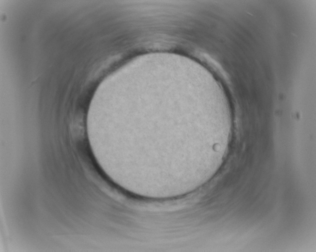 X0000074970017200609291949