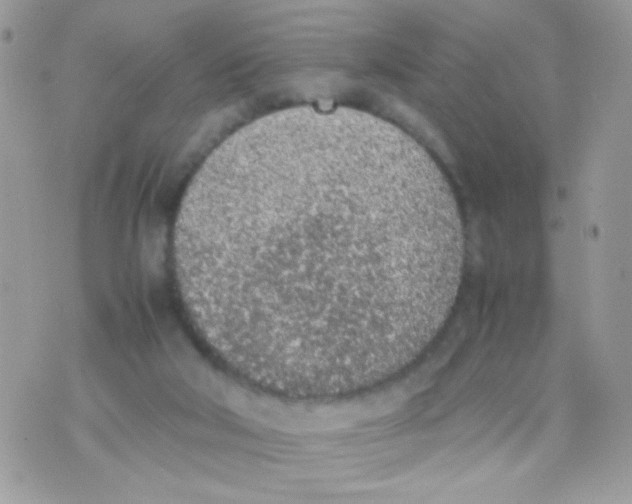 X0000074970018200609291949