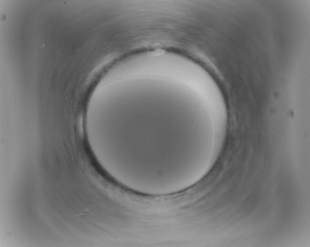 X0000074970019200609291949