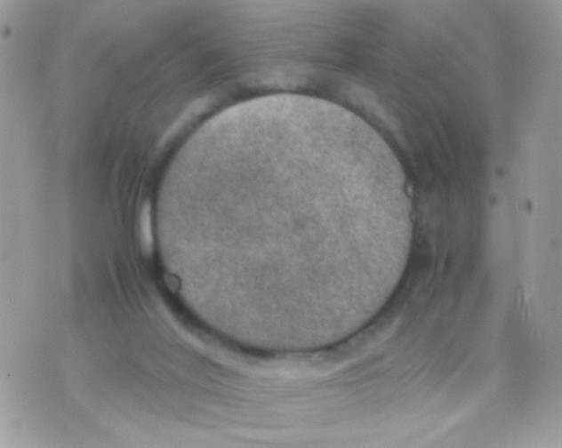 X0000074970020200609291949