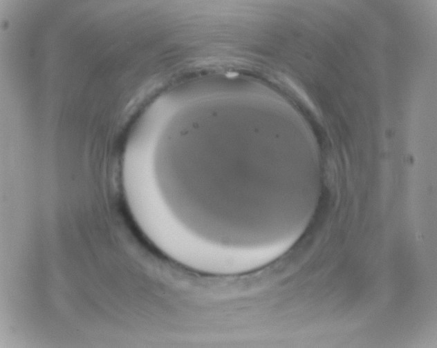 X0000074970023200609291949