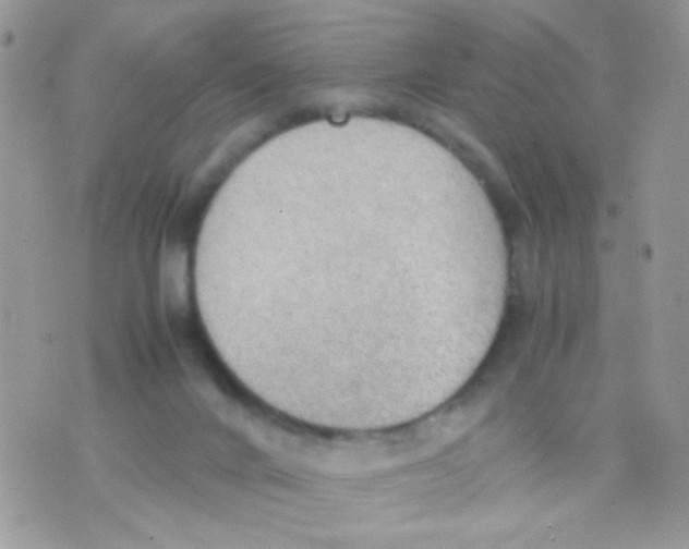 X0000074970024200609291949