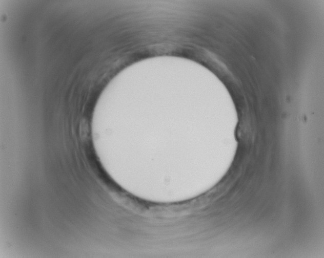 X0000074970025200609291949