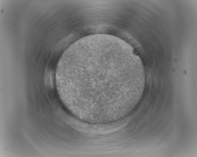 X0000074970026200609291949