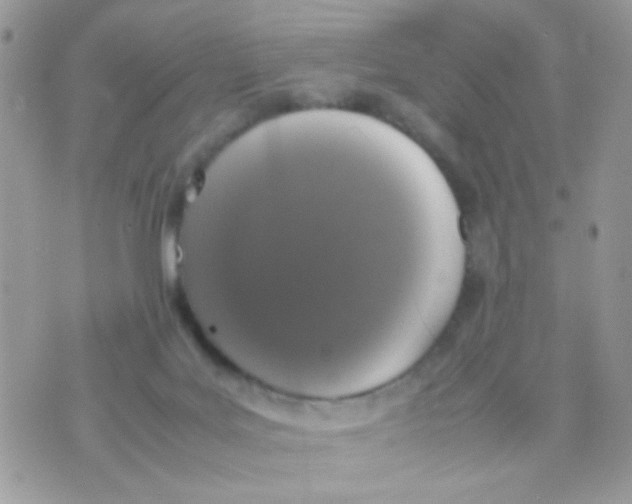 X0000074970027200609291949