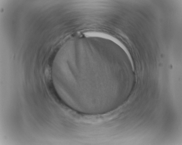 X0000074970029200609291949