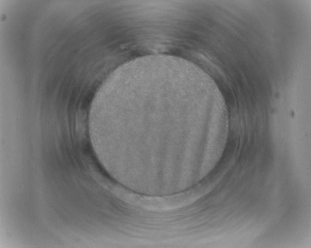 X0000074970030200609291949