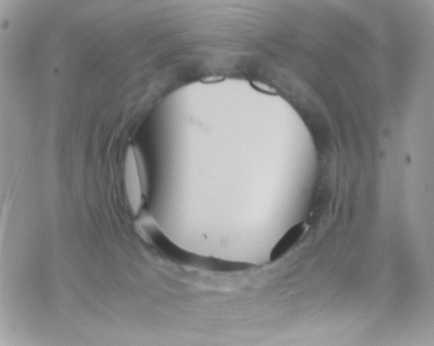 X0000074970033200609291949