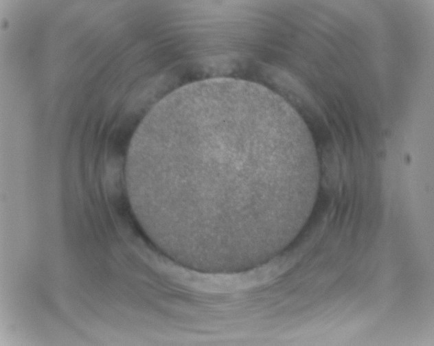 X0000074970034200609291949