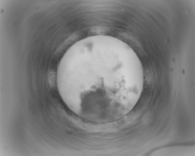 X0000074970036200609291949