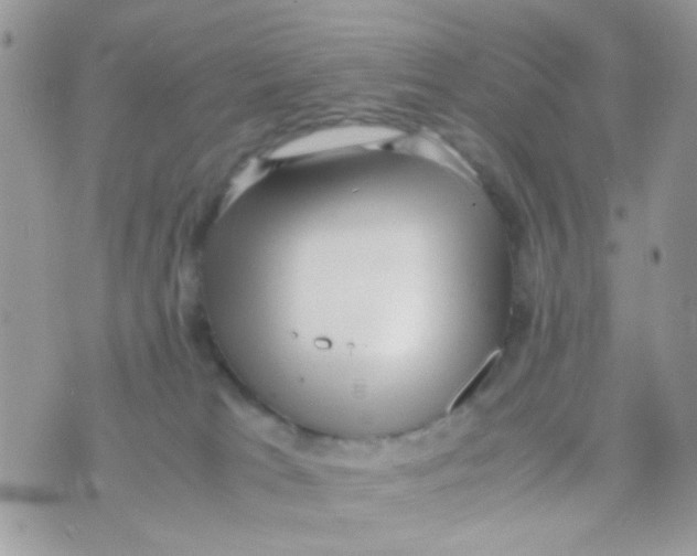 X0000074970037200609291949