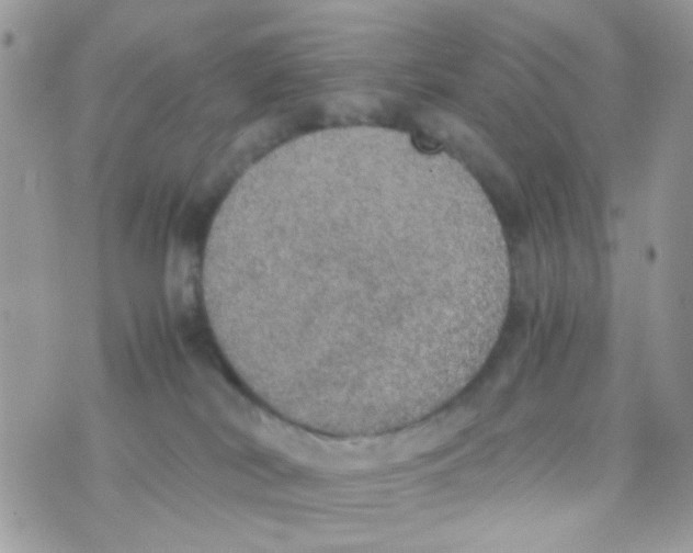 X0000074970038200609291949