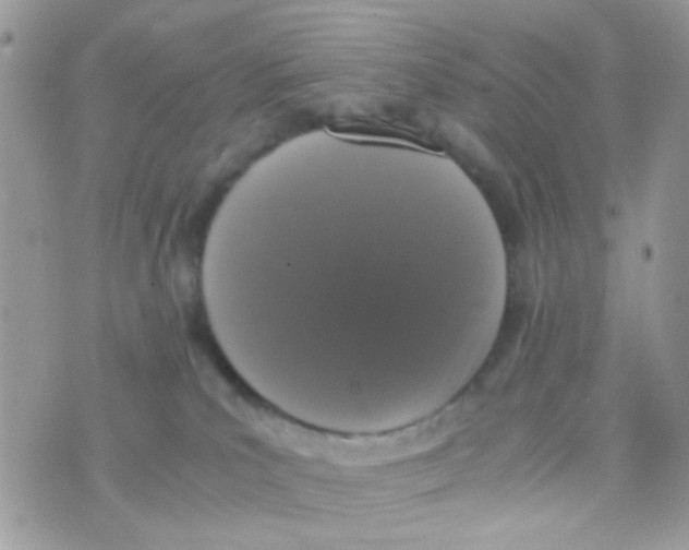 X0000074970039200609291949