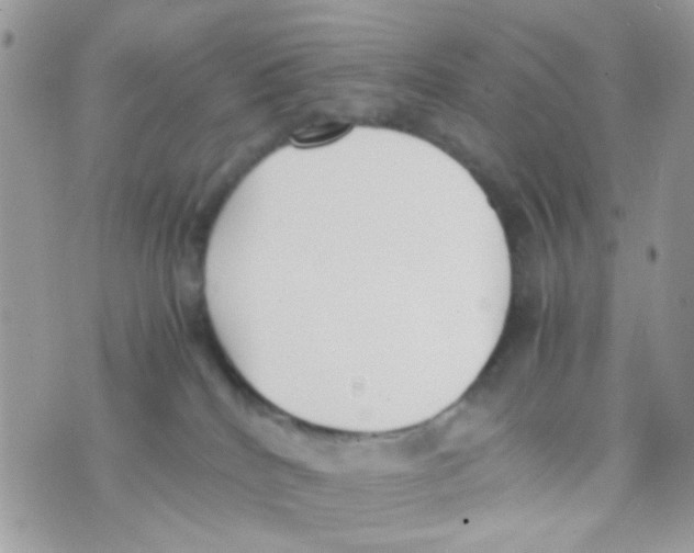 X0000074970040200609291949