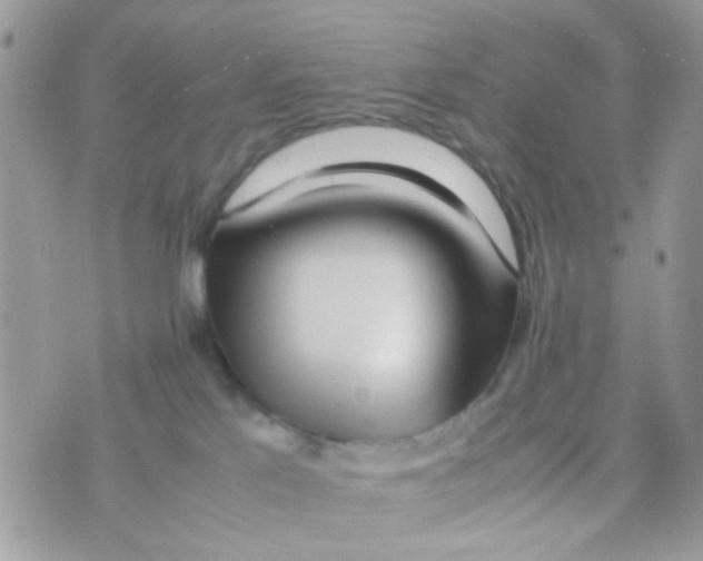 X0000074970041200609291949