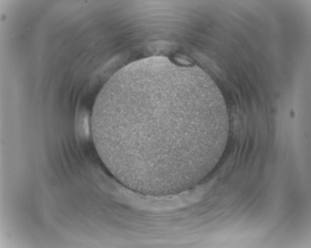 X0000074970042200609291949