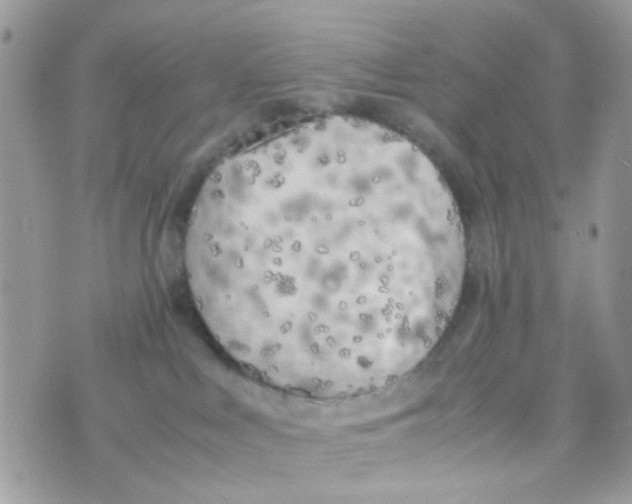 X0000074970043200609291949