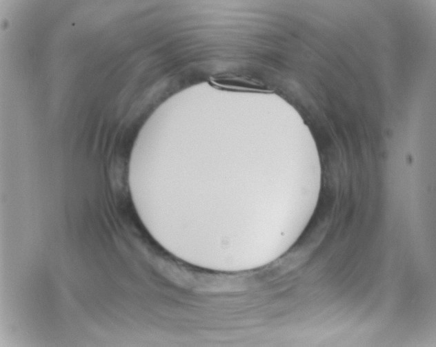 X0000074970044200609291949