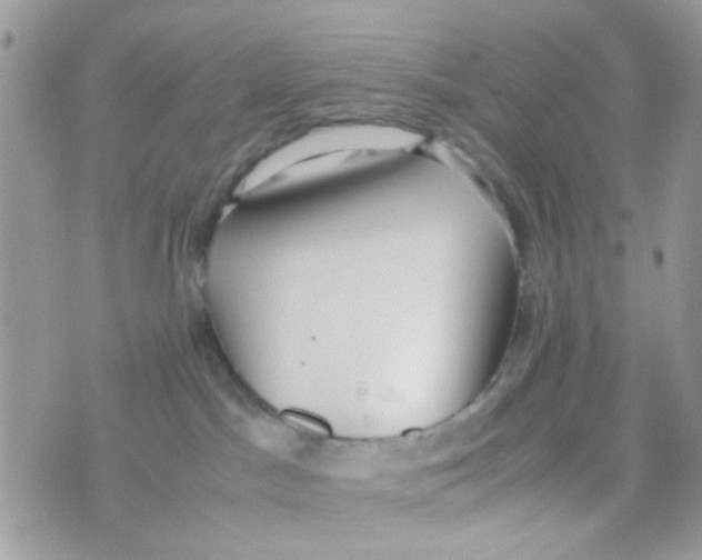 X0000074970045200609291949