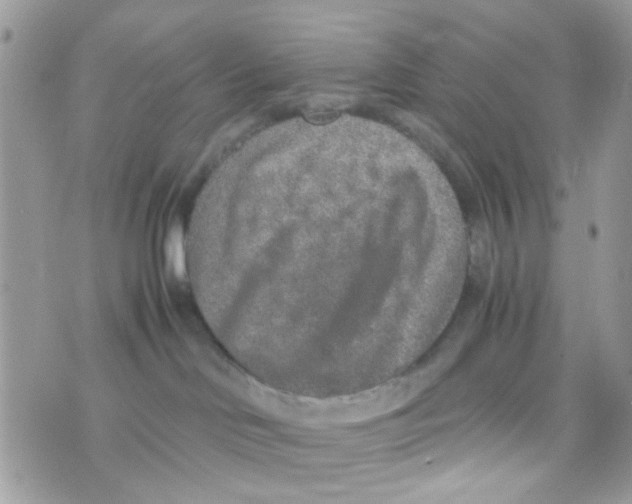 X0000074970046200609291949