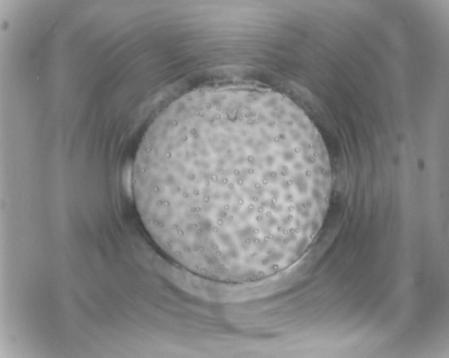 X0000074970047200609291949